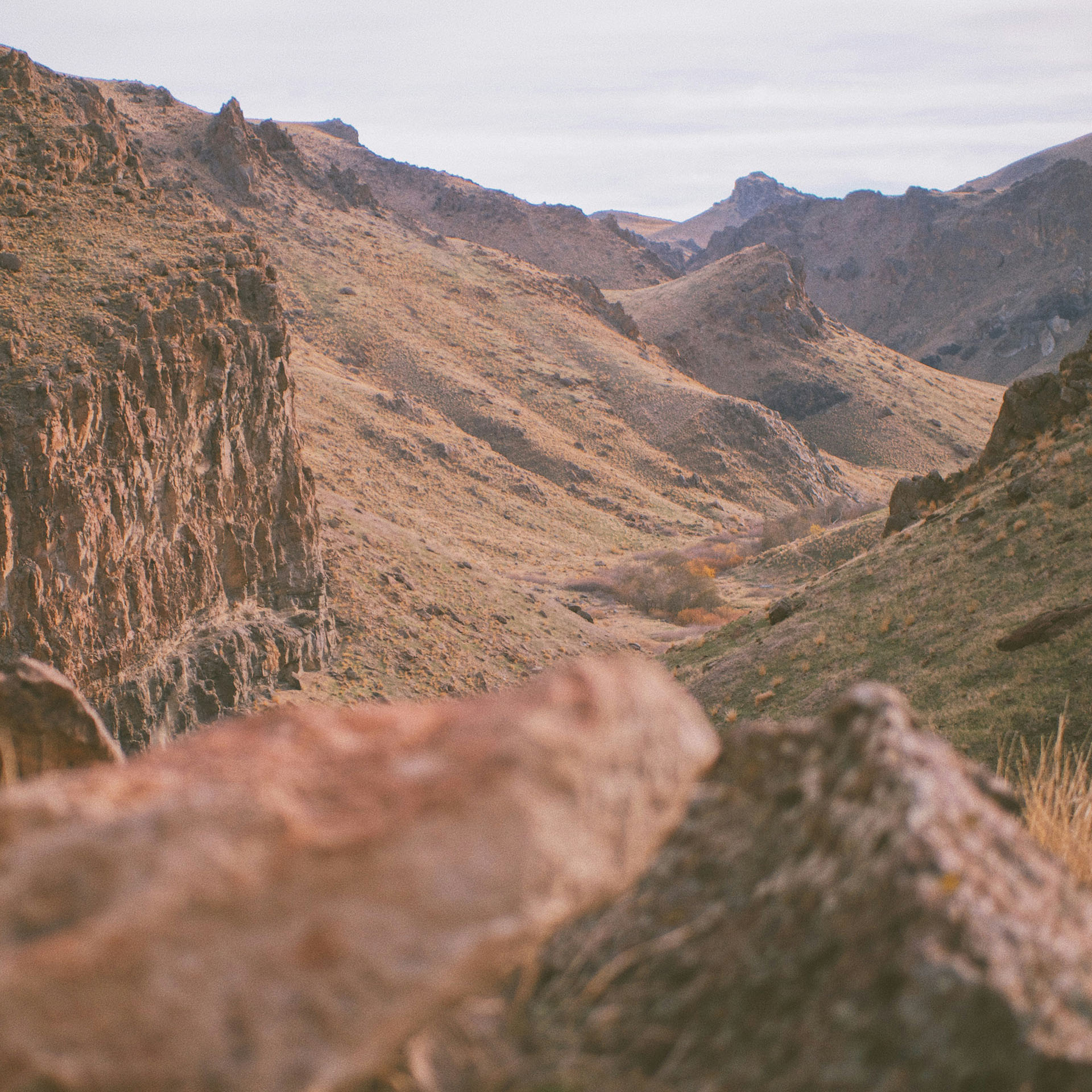 Professional landscaping services in Caldwell, Idaho